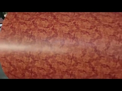 RAL color prepainted galvanized steel coil ppgi color coated galvanized steel coils