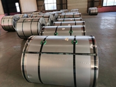 Galvanized Steel Coils/ Cold Rolled Galvanized Steel Coil for building