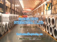 SHANGHAI HUIYI INTERNATIONAL CO.LTD