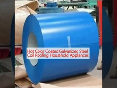 Hot Color Coated Galvanized Steel Coil Roofing Household Appliances