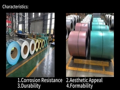 PPGL Steel Coil